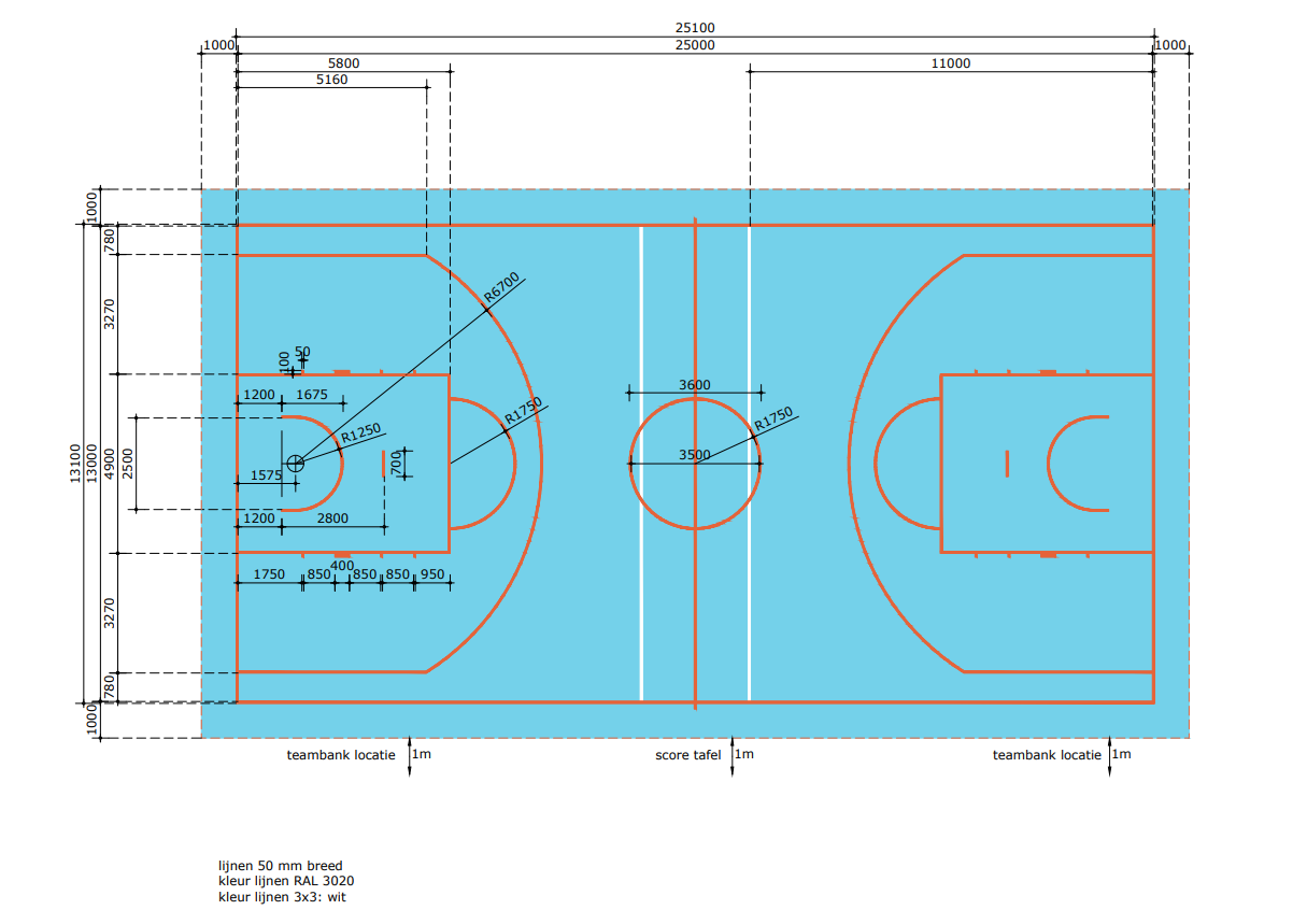 BAS06_NIVEAU 4 VELDBELIJNING 25X13.png